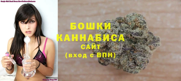 индика Заводоуковск