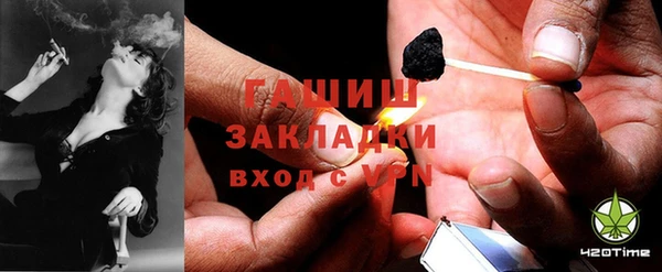 индика Заводоуковск