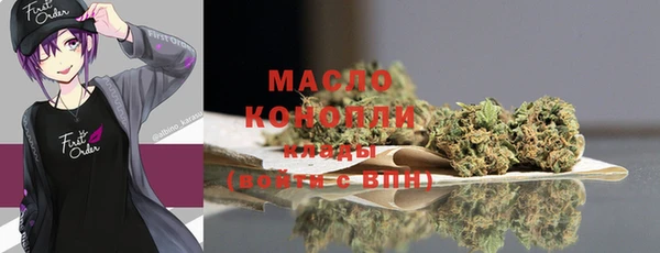 индика Заводоуковск
