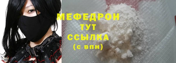 индика Заводоуковск