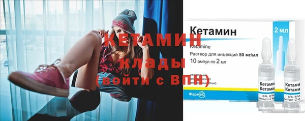 индика Заводоуковск