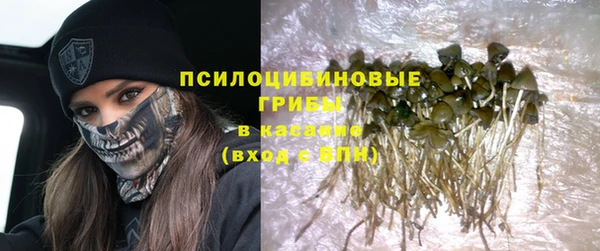 мдпв Заволжск