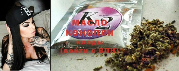 индика Заводоуковск