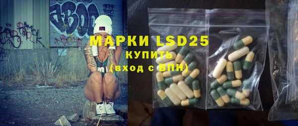 индика Заводоуковск