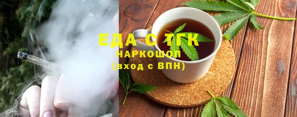 индика Заводоуковск