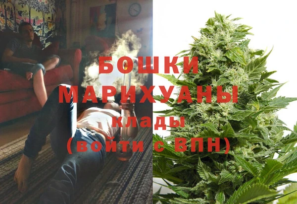 индика Заводоуковск