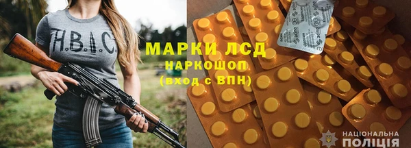 индика Заводоуковск