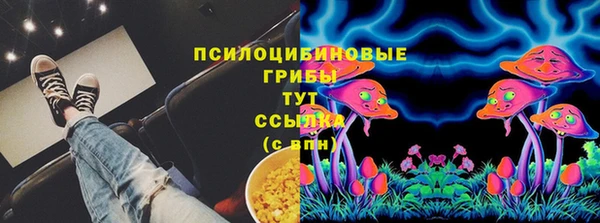 индика Заводоуковск