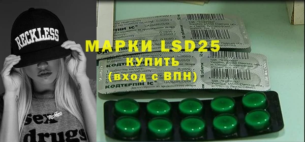 индика Заводоуковск