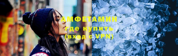 индика Заводоуковск